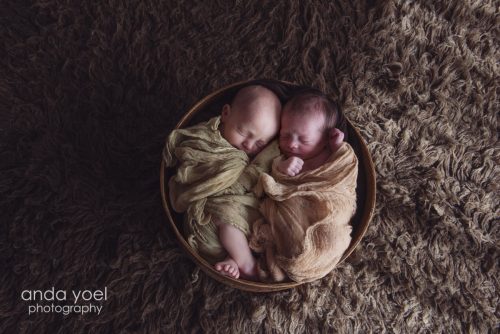 צילומי ניובורן תאומים - אנדה יואל