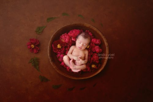 תינוקת בסלסלת עץ וורדים אדומים - צילומי ניובורן בסטודיו אנדה יואל