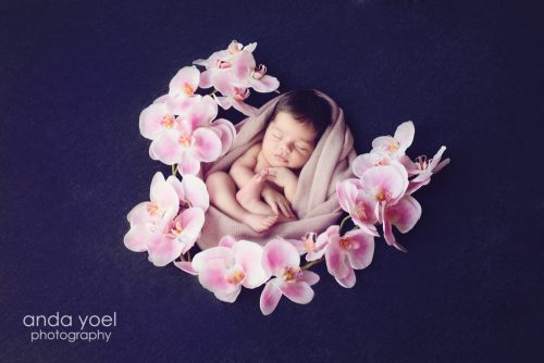 תינוקת בעיטוף ורוד בין פרחים ורודים - צילומי ניובורן בסטודיו אנדה יואל