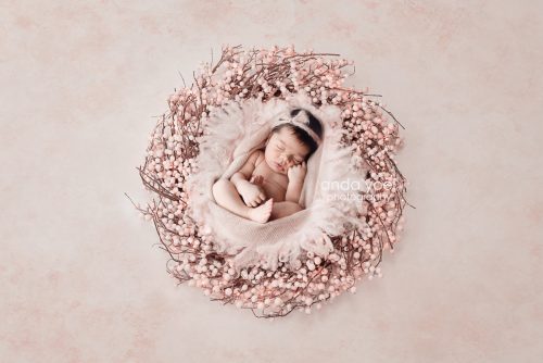 צילומי ניובורן אנדה יואל