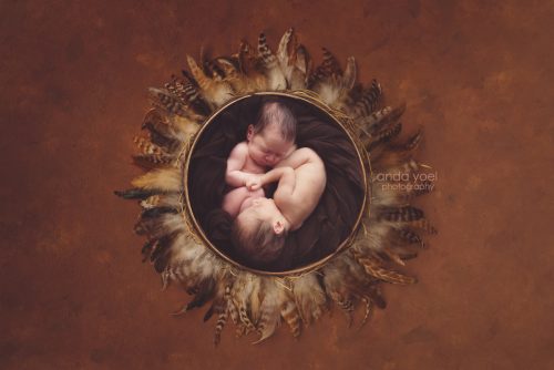 צילומי ניובורן תאומים על רקע נוצות חומות בסטודיו אנדה יואל