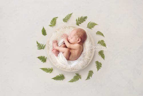 צילום ניובורן בסלסלה לבנה וצמחיה ירוקה (פונה שמאלה) בסטודיו אנדה יואל