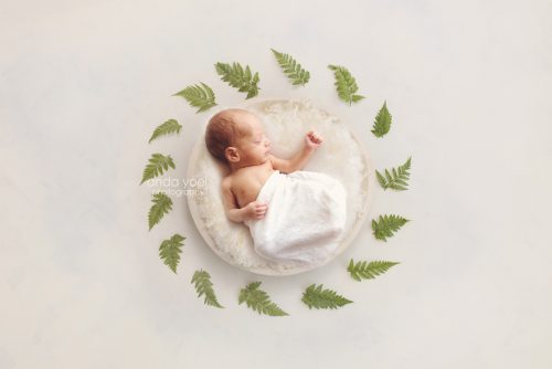 צילום ניובורן בסלסלה לבנה וצמחיה ירוקה (פונה ימינה) בסטודיו אנדה יואל