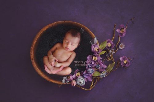 ניובורן בסלסלת עץ על רקע סגול - סטודיו אנדה יואל