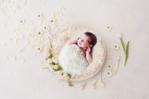 תינוקת ניובורן בסלסלת עץ לבנה ומסביב טוליפים לבנים (תמונה בעיבוד מורכב) צילומי ניובורן אנדה יואל