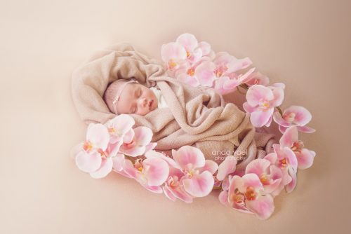 ניובורן בעיטוף ורוד בין פרחים ורודים - צילומי ניובורן בסטודיו אנדה יואל